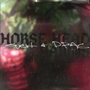 Such a Drag - Single