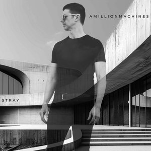 Stray - Single