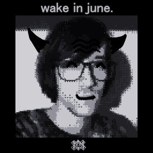 Image for 'Wake In June'