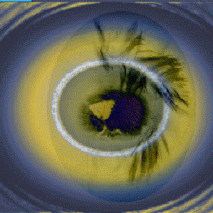 Image for 'Naturals'
