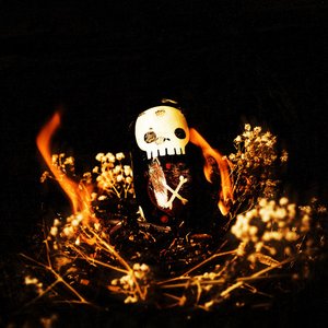 Pure Vessel - Single