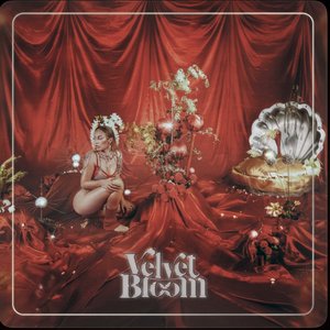 Velvet Bloom