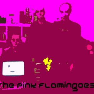 Immagine per 'The Pink Flamingoes'