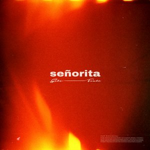 Señorita (feat. Fouli)