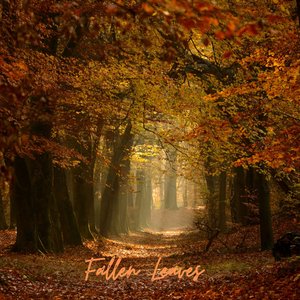 Fallen Leaves