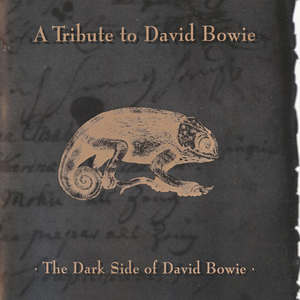 David Bowie - A Tribute To David Bowie: The Dark Side Of David Bowie - Zortam Music
