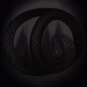 Thunder Grey Pilgrim