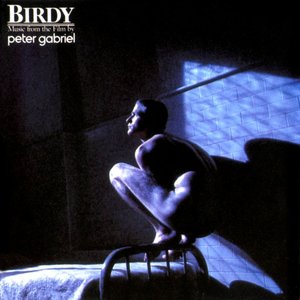 Birdy (music from the film)