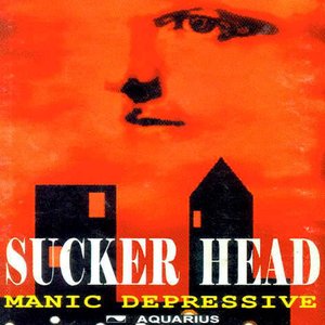 Manic Depressive