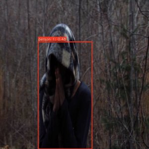 Avatar for dear lain