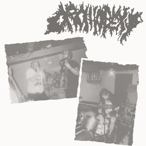 Orchiopexy 的头像