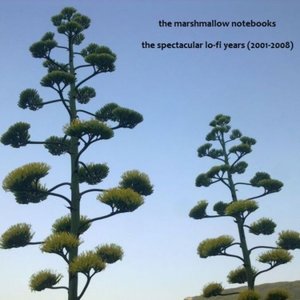 The Spectacular Lo-Fi Years (2001-2008)