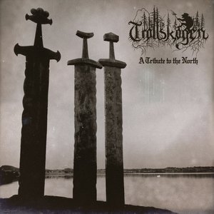 A Tribute to the North - Single