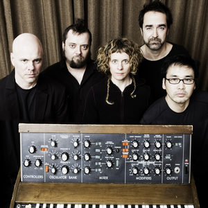 Microbunny photo provided by Last.fm