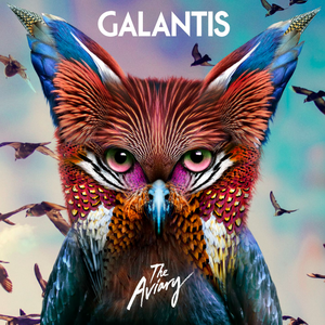 GALANTIS & HOOK N SLING - The Aviary - Zortam Music