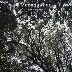 Maungawhau