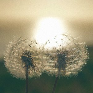 faraway days (2018-2022)