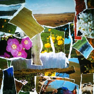 grasslands