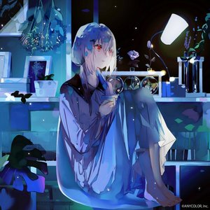 Touch the Night