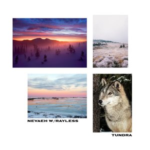 Tundra