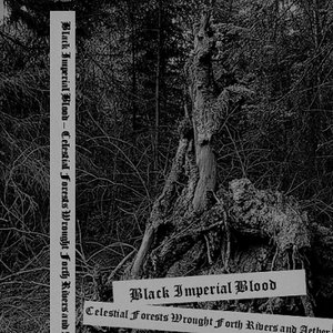 Celestial Forests Wrought Forth Rivers and Aether
