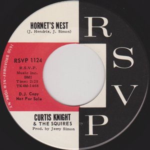 Hornet's Nest / Knock Yourself Out