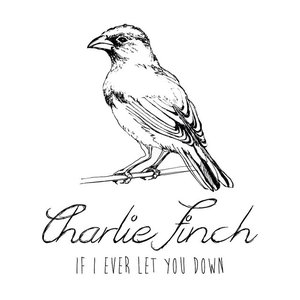 If I Ever Let You Down