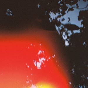 Pine Blues - SINGLE