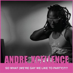 So What (We're Gay and We Like to Party) ?!?