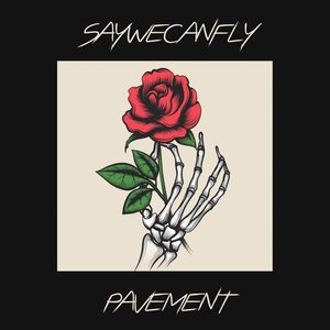 Pavement - Single