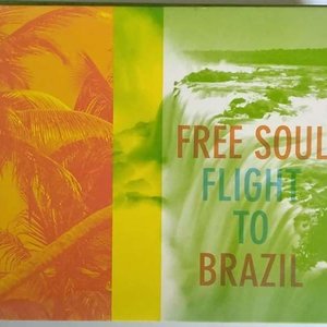 Free Soul Flight to Brazil