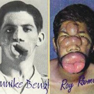 BinnikeBengts Och Roy Rövmuns Orkester 的头像
