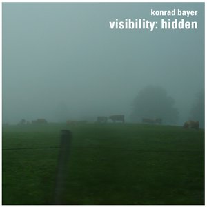 visibility:hidden