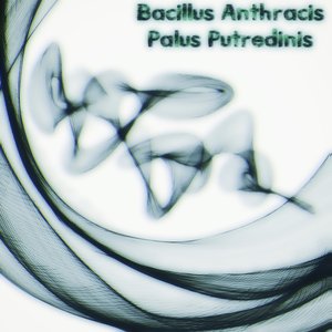Palus Putredinis