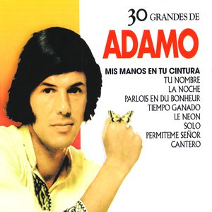 30 Grandes de Salvatore Adamo