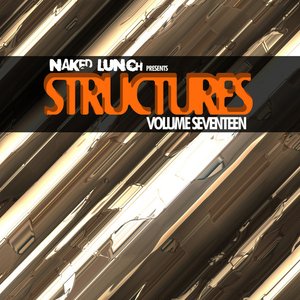 Structures Vol.17