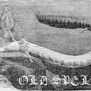 Old Spells 的头像