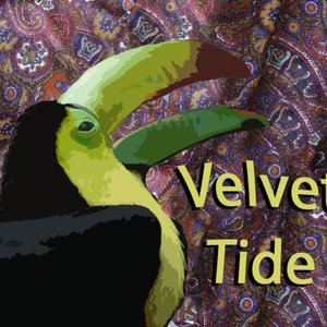 Velvet Tide 的头像