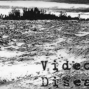 Video Disease 的头像