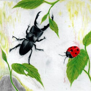 Naturous Album