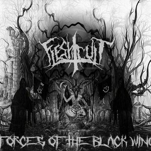Forces Of The Black Wing