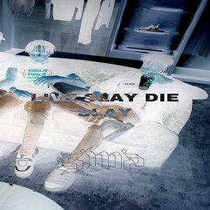 Live Sly Die Slay