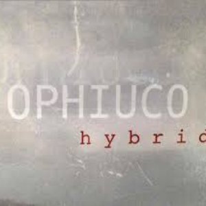 Hybrid