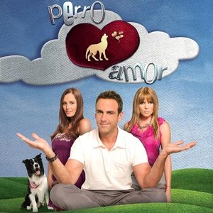 Perro Amor - Single
