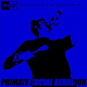 Primate Social Behavior