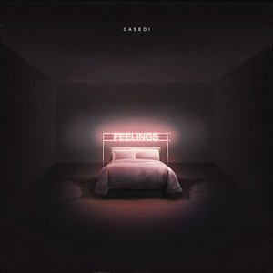 Feelings