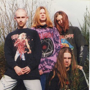brutal insanity 的头像