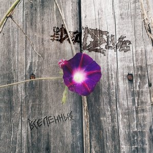 “Вселенных”的封面