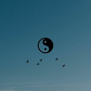 flynsober 的头像