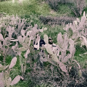 YellowStone - Single